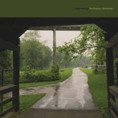 Виниловая пластинка Cloud Nothings - The Shadow I Remember Carpark Records