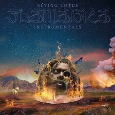 Виниловая пластинка Flying Lotus - Flamagra (Instrumentals)+1 Animated Zoetrope Slipmat Warp