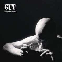 Виниловая пластинка Blumberg Daniel - GUT Mute Records