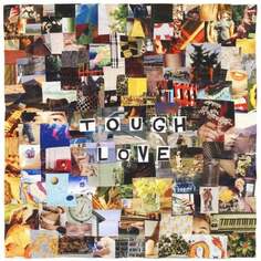 Виниловая пластинка Anne Erin - Tough Love Carpark Records