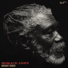 Виниловая пластинка Andy Horace - Midnight Rocker (Limited Edition) (золотой винил) Warp