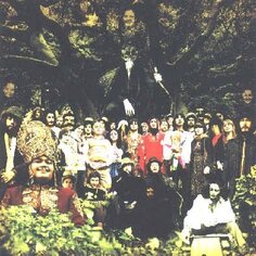 Виниловая пластинка Banhart Devendra - Cripple Crow XL Recordings