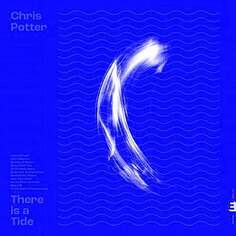 Виниловая пластинка Potter Chris - There Is a Tide Edition Records