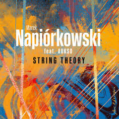 Виниловая пластинка Napiórkowski Marek - String Theory Agora S.A.