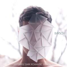 Виниловая пластинка Baasch - Simple Dark Romantic Songs Follow