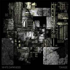 Виниловая пластинка White Darkness - Tokage Denovali