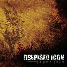 Виниловая пластинка Despised Icon - The Healing Process (Alternate Mix - Re-issue + Bonus 2022) Sony Music Entertainment