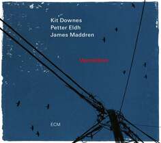 Виниловая пластинка Downes Kit - Vermillion ECM Records