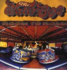 Виниловая пластинка The Waterboys - Room To Roam (Reedycja) Warner Music Group