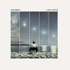 Виниловая пластинка Amongster - A New Arrival V2 Records