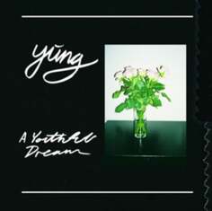 Виниловая пластинка Yung - A Youthful Dream Pias Records