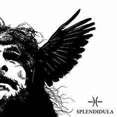 Виниловая пластинка Splendidula - Somnus Argonauta Records