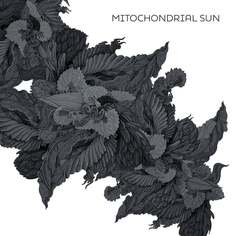 Виниловая пластинка Mitochondrial Sun - Mitochondrial Sun Argonauta Records