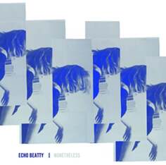 Виниловая пластинка Echo Beatty - Nonetheless Waste My Records