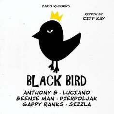 Виниловая пластинка Various Artists - Big Slap &amp; Black Bird Riddims By City Kay Baco Records