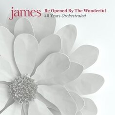 Виниловая пластинка James - Be Opened By the Wonderful Virgin