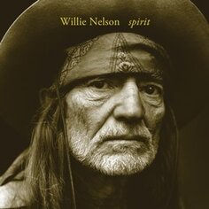 Виниловая пластинка Nelson Willie - Spirit Island Records