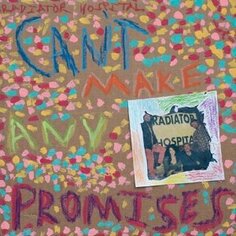 Виниловая пластинка Radiator Hospital - Can&apos;t Make Any Promises Salinas