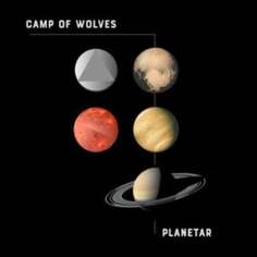 Виниловая пластинка Subexotic Records - Planetar