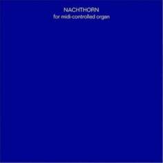 Виниловая пластинка VLEK - Nachthorn