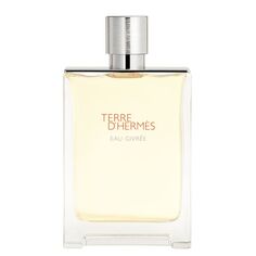 Туалетная вода унисекс Terre d&apos;Hermès Eau Givrée EDP Hermes, EDP 100 ML