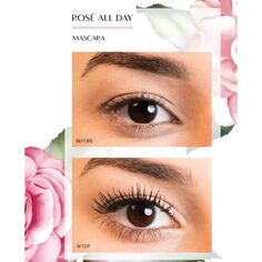 Тушь для ресниц Máscara de Pestañas Rosé All Day Physicians Formula, Negro