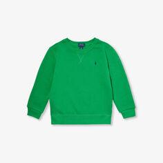 Толстовка для мальчиков из смесового хлопка с вышитым логотипом Polo Ralph Lauren, зеленый