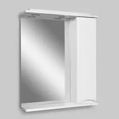 Зеркальный шкаф 65x75 см белый глянец R Am.Pm Like M80MPR0651WG Am.Pm.