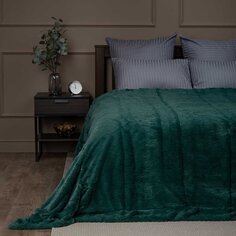 Плед 2-спальный, 200х220 см, искусственный мех, 100% полиэстер, Eclair, зеленый, 29 562