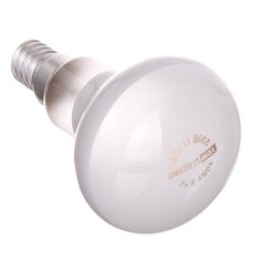 Лампа накаливания E14, 40 Вт, рефлектор, R50, TDM Electric, SQ0332-0027