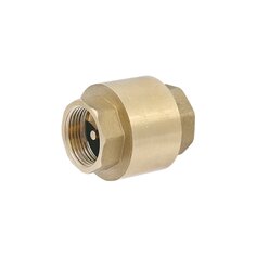 Клапан обратный 3/4", г-г, ProFactor