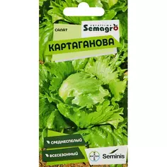 Семена салат Картаганова Без бренда