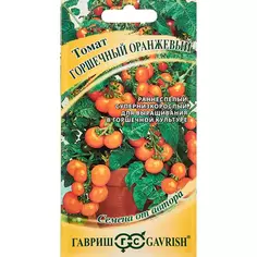 Семена овощей Гавриш томат горшечный оранжевый