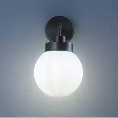 Настенный светильник Kron FR5339WL-01N под лампу влагозащищенный цвет серебристый Freya