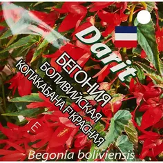 Семена цветов Дарит бегония боливийская Копакабана F1 красная 7 шт. Без бренда