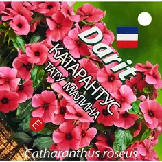Семена цветов Дарит катарантус Тату Малина Без бренда