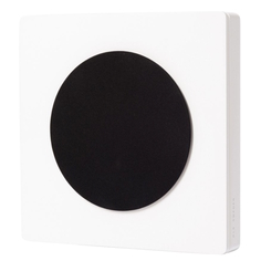 Настенная акустика DLS Flatbox D-One white