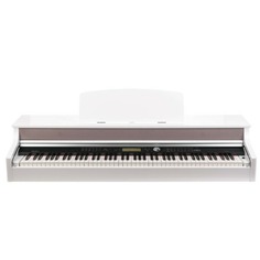 Цифровые пианино Medeli DP388-GW