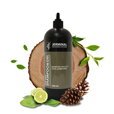 Шампунь для волос JERMINAL COSMETICS Шампунь-гель 2в1 Сила Древесины Professional line мужской 1000.0