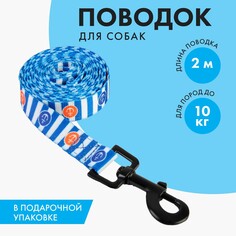 Поводок Пушистое счастье