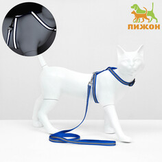 Комплект для кошек светоотражающий,ширина 1 см,шлейка 21-35 см,поводок 120 см, синий Пижон
