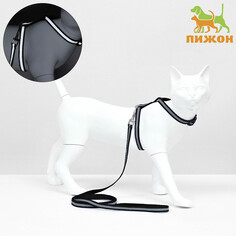 Комплект для кошек светоотражающий,ширина 1 см,шлейка 21-35 см,поводок 120 см, черный Пижон