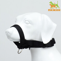 Недоуздок-намордник для собак строгий, размер l, ом 18-30 см, ош 16-24 см, черный Пижон