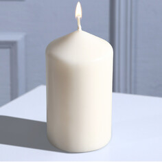 Свеча-столбик интерьерная, белая, 5,5х10 см NO Brand