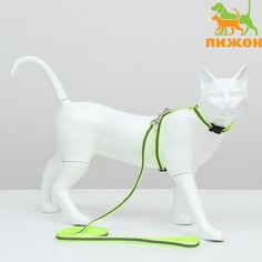 Комплект для кошек светоотражающий,ширина 1 см,шлейка 21-35 см,поводок 120 см, зеленый Пижон