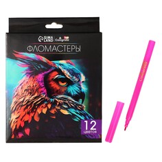 Фломастеры 12 цветов, top calligrata, в картонной коробке
