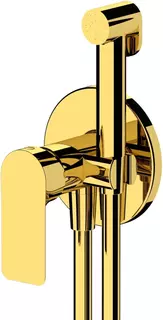 Гигиенический душ Remer Infinity I65WDO со смесителем, золотой
