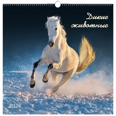 Календарь на 2024 Канц-Эксмо 32х32 в мире дикой природы