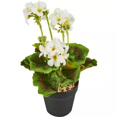 Искусственное растение в горшке Герань садовая 9.5x25 см цвет белый полиэстер Без бренда