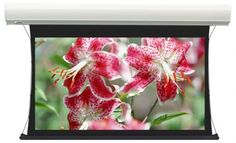 Экран Lumien LCTC-100125 Cinema Tensioned Control 184*286 16:9, IR и RF управление входит в комплект